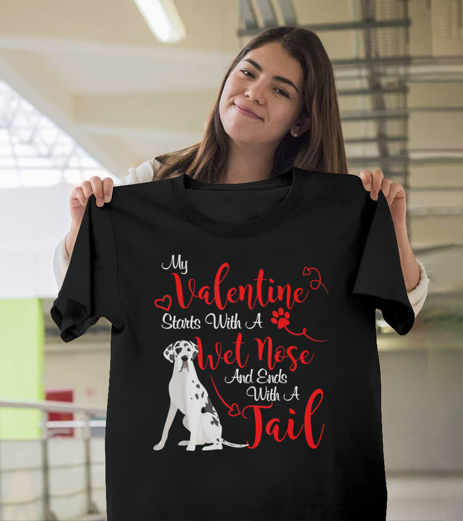 My Valentine Starts With A Wet Nose And Ends With A Tail Great Dane Harlequin T-Shirt