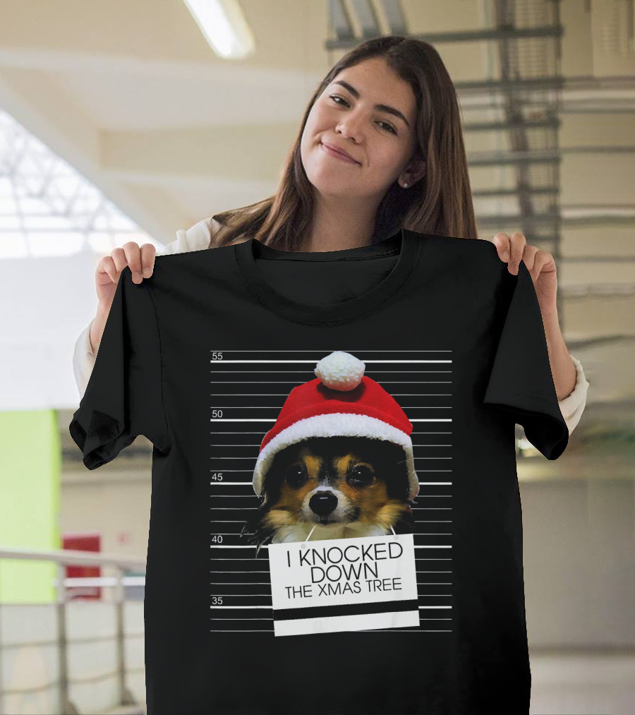 Papillon Dog I Knocked Down The Xmas Tree Santa Hat Lineup T-Shirt