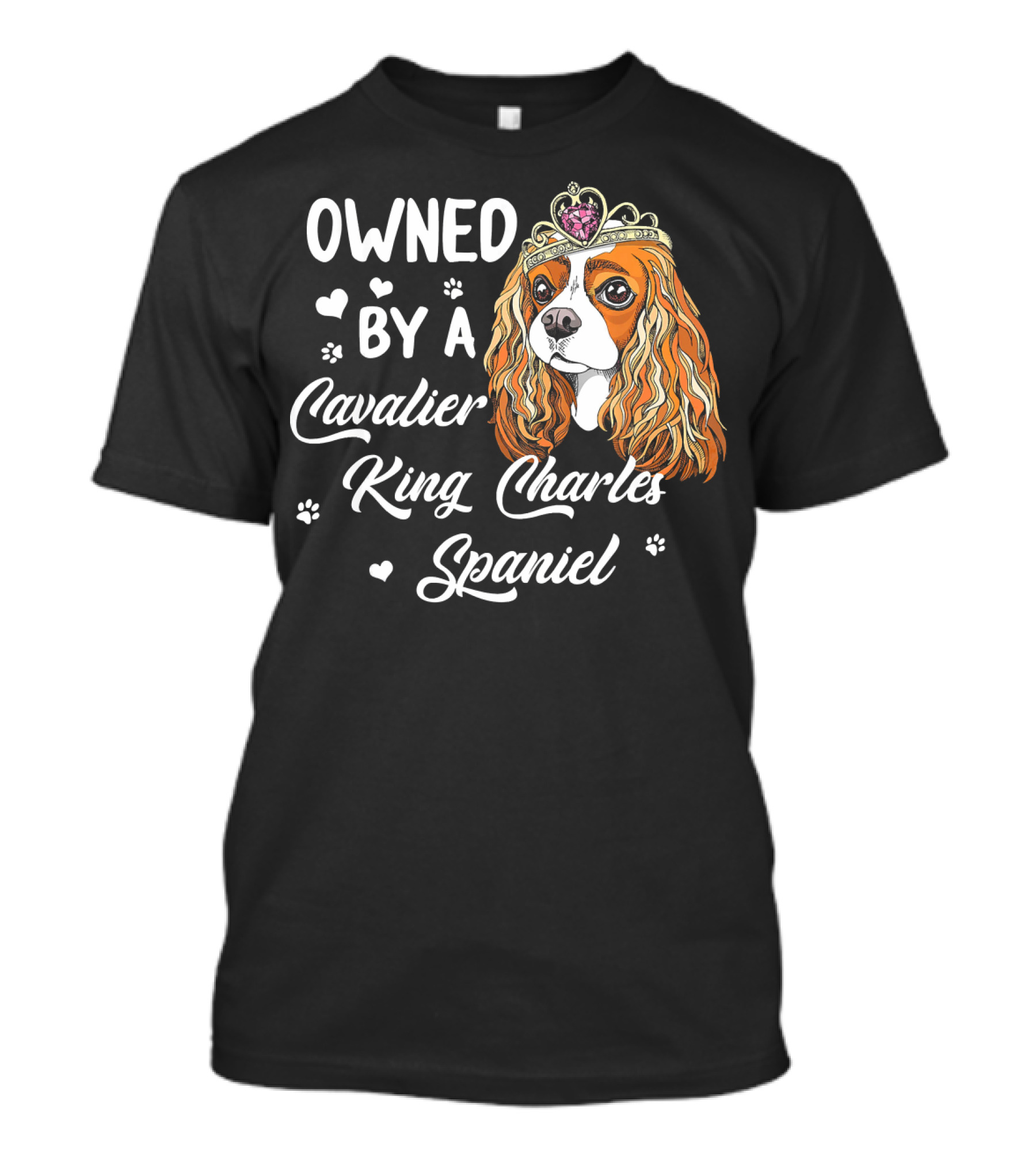 OWNED BY A CAVALIER KING CHARLES SPANIEL WITH CROWN AND HEARTS T-Shirt