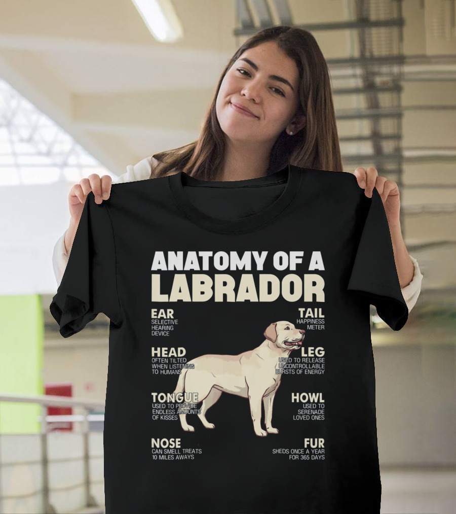 Anatomy Of A Labrador Ear Selective Hearing Device Head Often Tilted Tongue Kisses Nose Smell Treats Tail Happiness Meter Leg Release Energy Howl Sere
