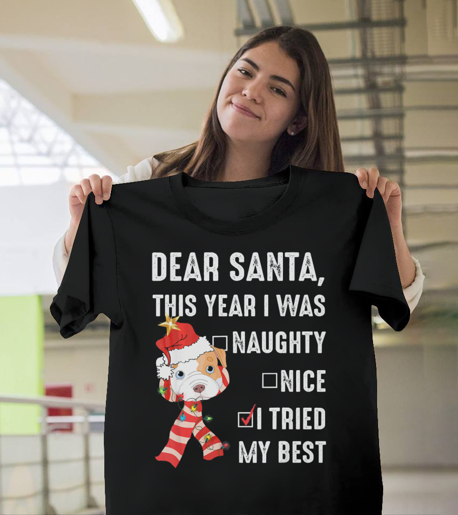 Dear Santa This Year I Was Naughty Nice I Tried My Best Dog Christmas Hat Lights T-Shirt