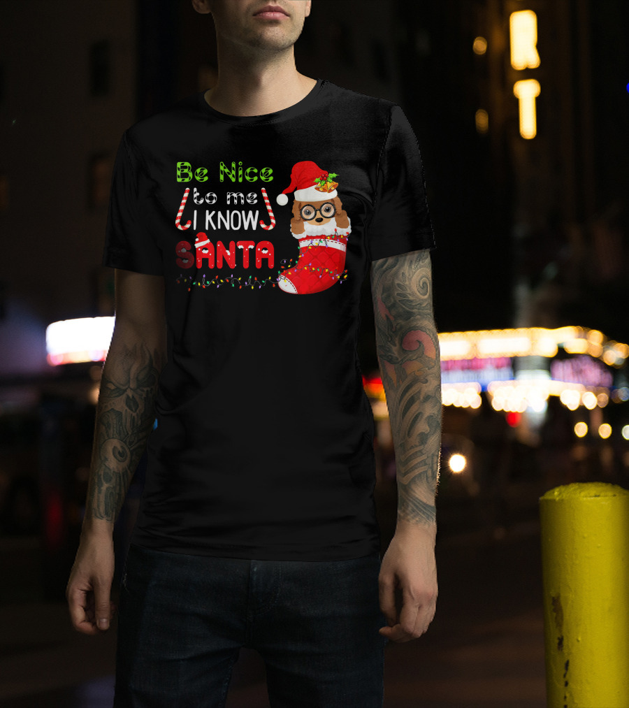 Be Nice To Me I Know Santa Poodle Christmas Stocking Dog T-Shirt
