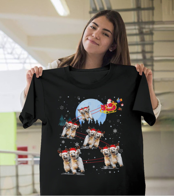 Poodle Reindeer Santa Sleigh Under Moonlight Christmas Scene T-Shirt