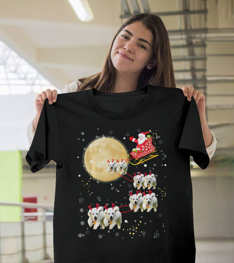 Santa Sleigh Full Moon Poodle Reindeer Snowflakes T-Shirt