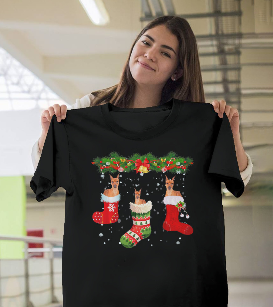 Three Miniature Pinscher Dog in Christmas Stockings with Holiday Decorations T-Shirt