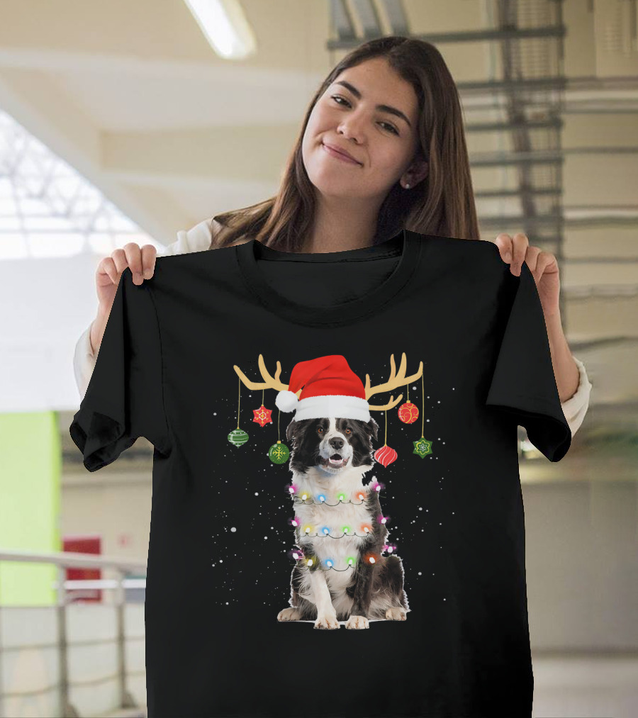 Reindeer Border Collie Christmas Santa Hat Antlers Holiday Lights T-Shirt
