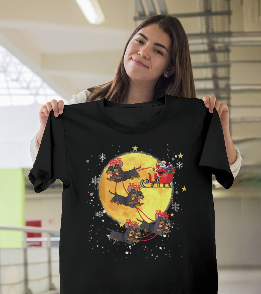 Schnauzer Reindeer Santa Sleigh Christmas Moon Snowflakes T-Shirt