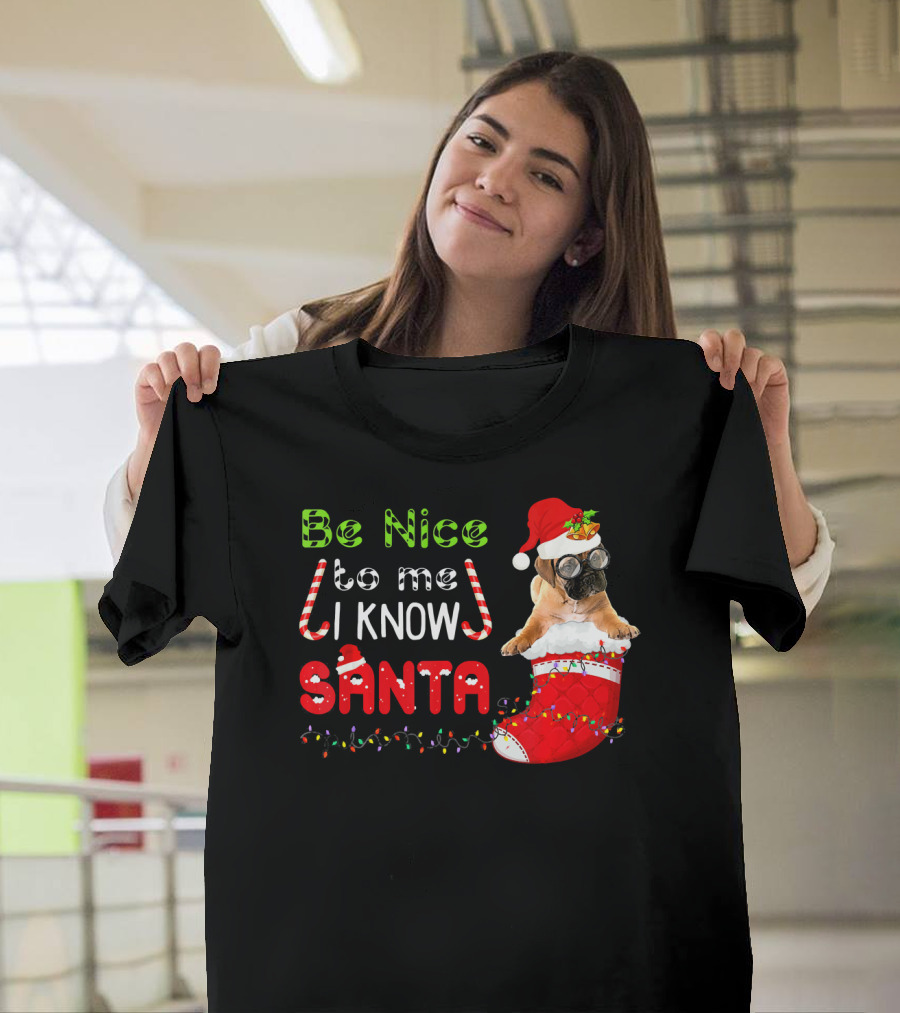 Be Nice To Me I Know Santa BullMastiff in Festive Stocking T-Shirt