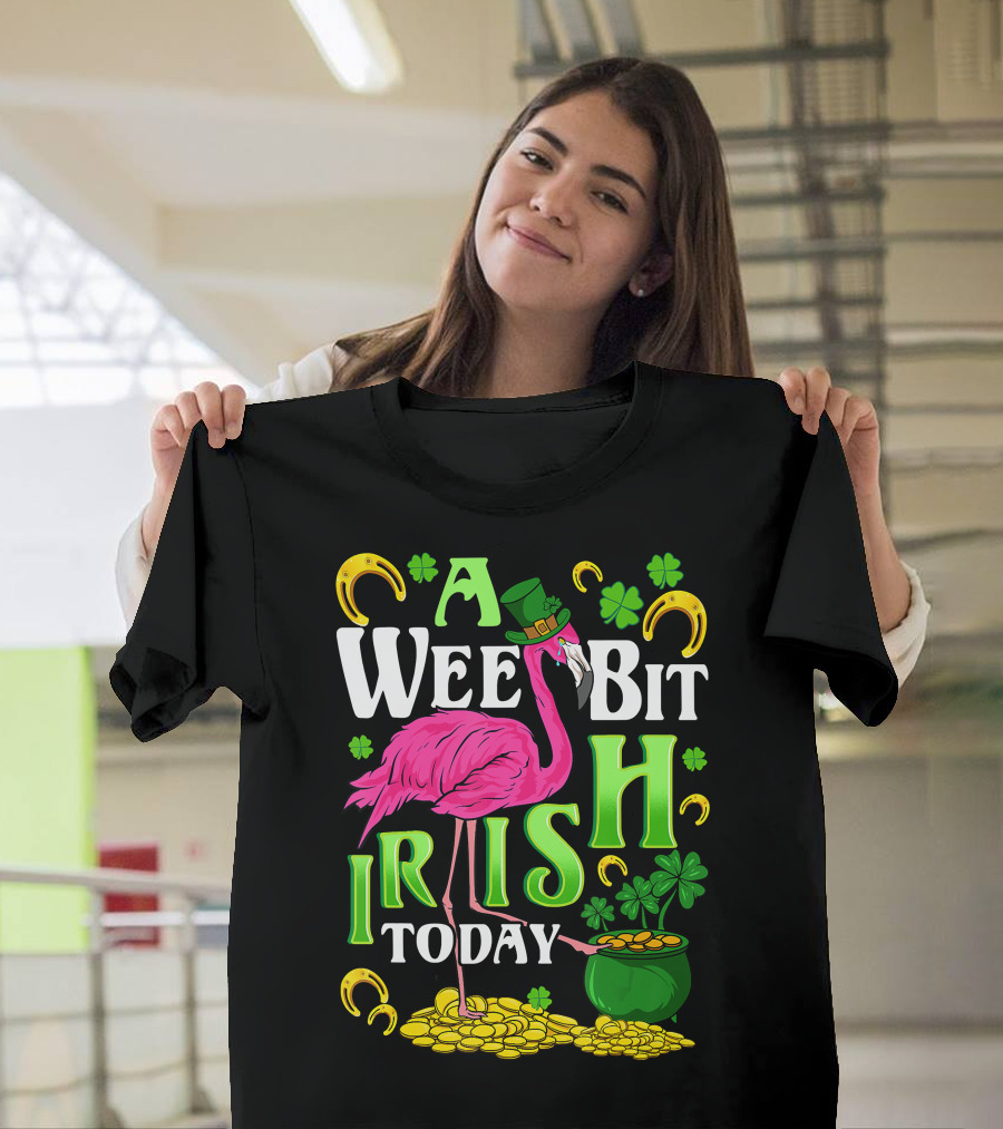 A Wee Bit Irish Today Flamingo Leprechaun Clover Horseshoe Gold Coins T-Shirt