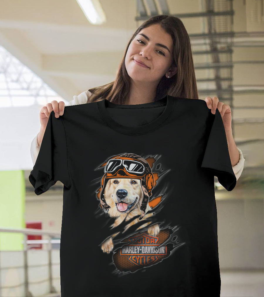 Golden Retriever Wearing Biker Helmet With Harley Davidson Motorcycles T-Shirt