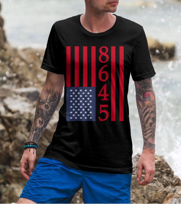 8645 American Flag Vertical Stripes Red White And Blue T-Shirt