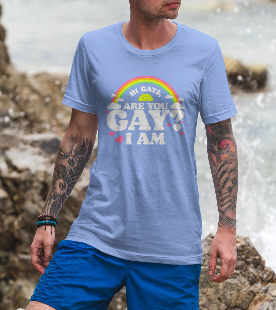 Chrissy Chlapecka Merch Hi Gays Are You Gay I Am With Rainbow And Hearts T-Shirt