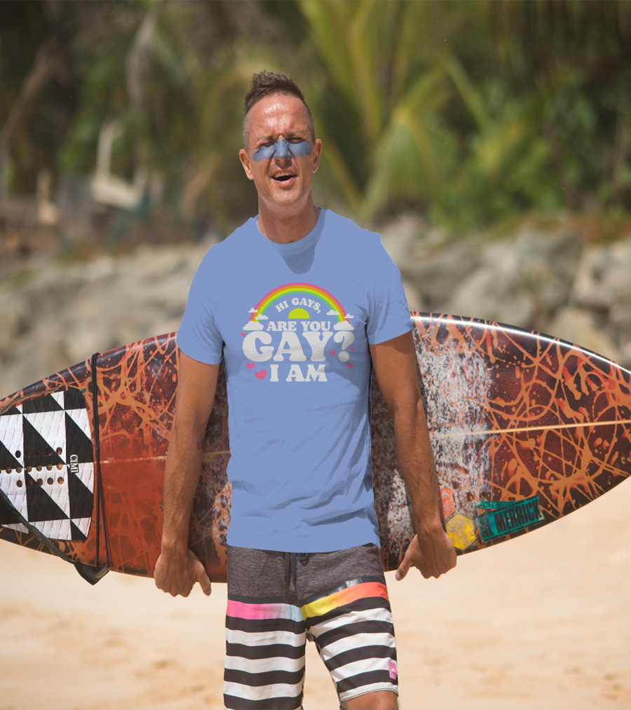 Chrissy Chlapecka Merch Hi Gays Are You Gay I Am With Rainbow And Hearts T-Shirt