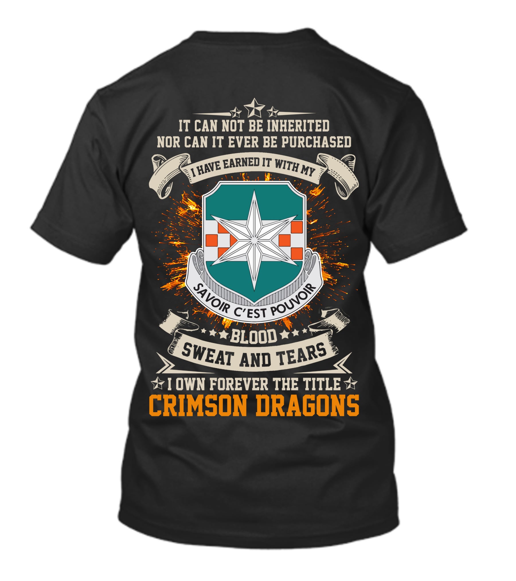 313th Military Intelligence Battalion Crimson Dragons Savoir C'est Pouvoir Blood Sweat And Tears T-Shirt