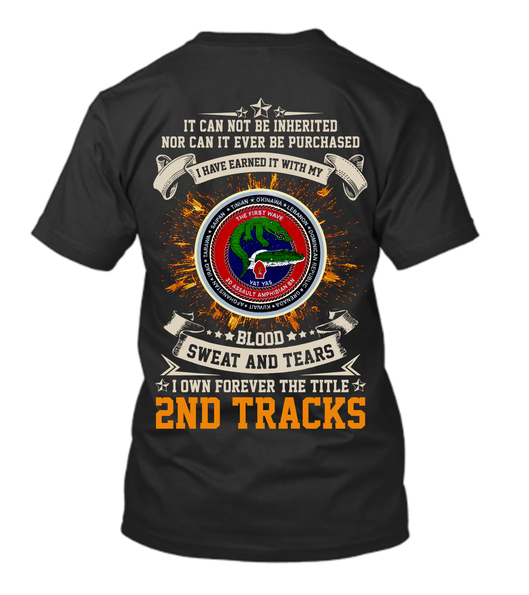 2Nd Assault Amphibian Battalion Blood Sweat And Tears I Own Forever The Title 2Nd Tracks T-Shirt