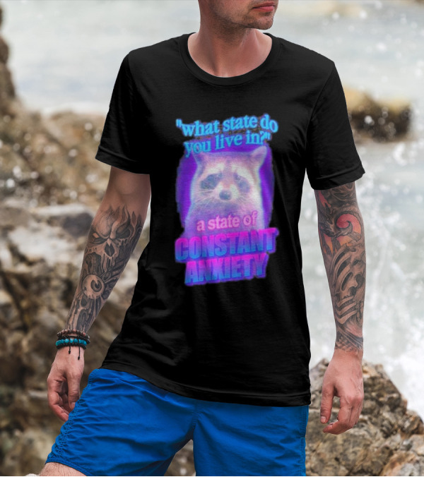 Raccoon In A State Of Constant Anxiety Meme T-Shirt