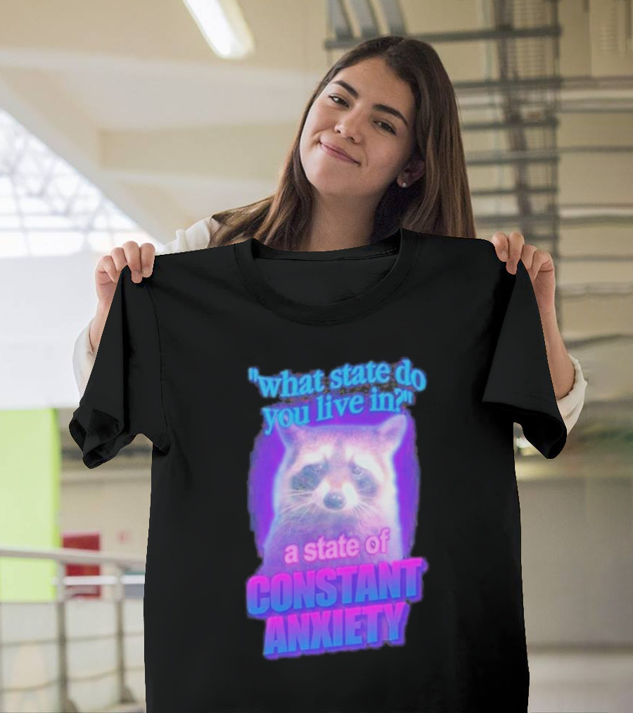 Raccoon in a State of Constant Anxiety Meme T-Shirt