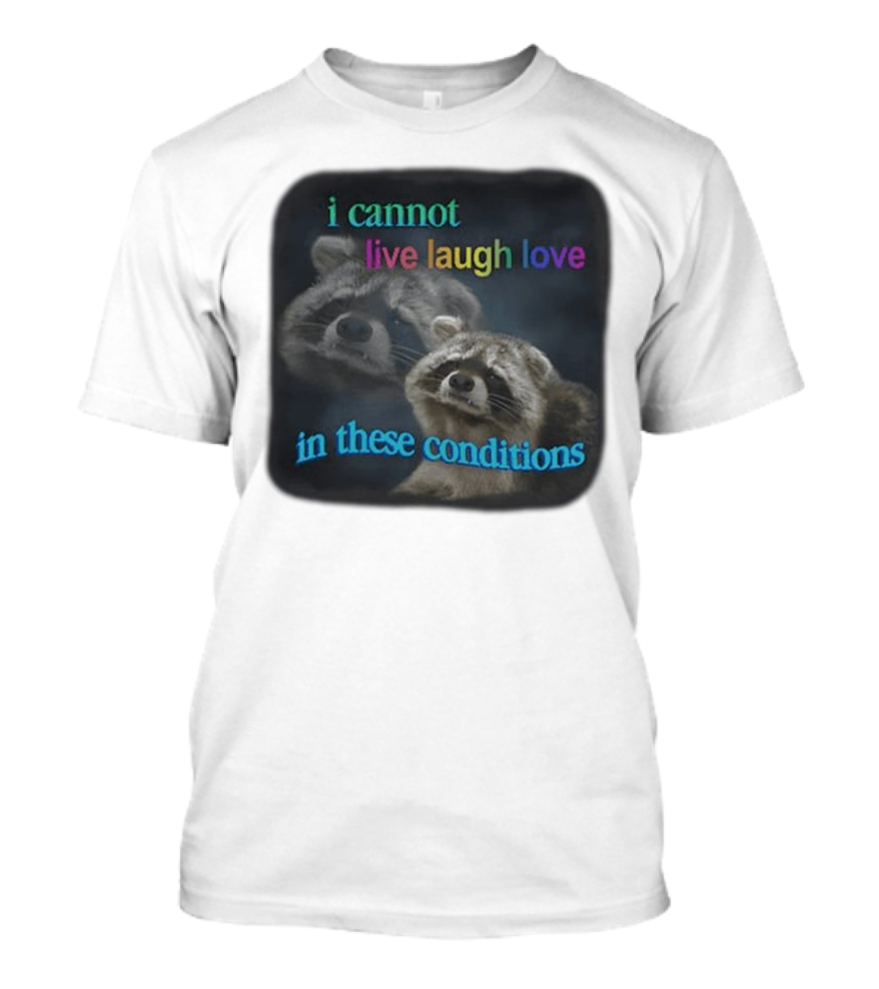 I Cannot Live Laugh Love In These Conditions Raccoon Duo Reality Check T-Shirt