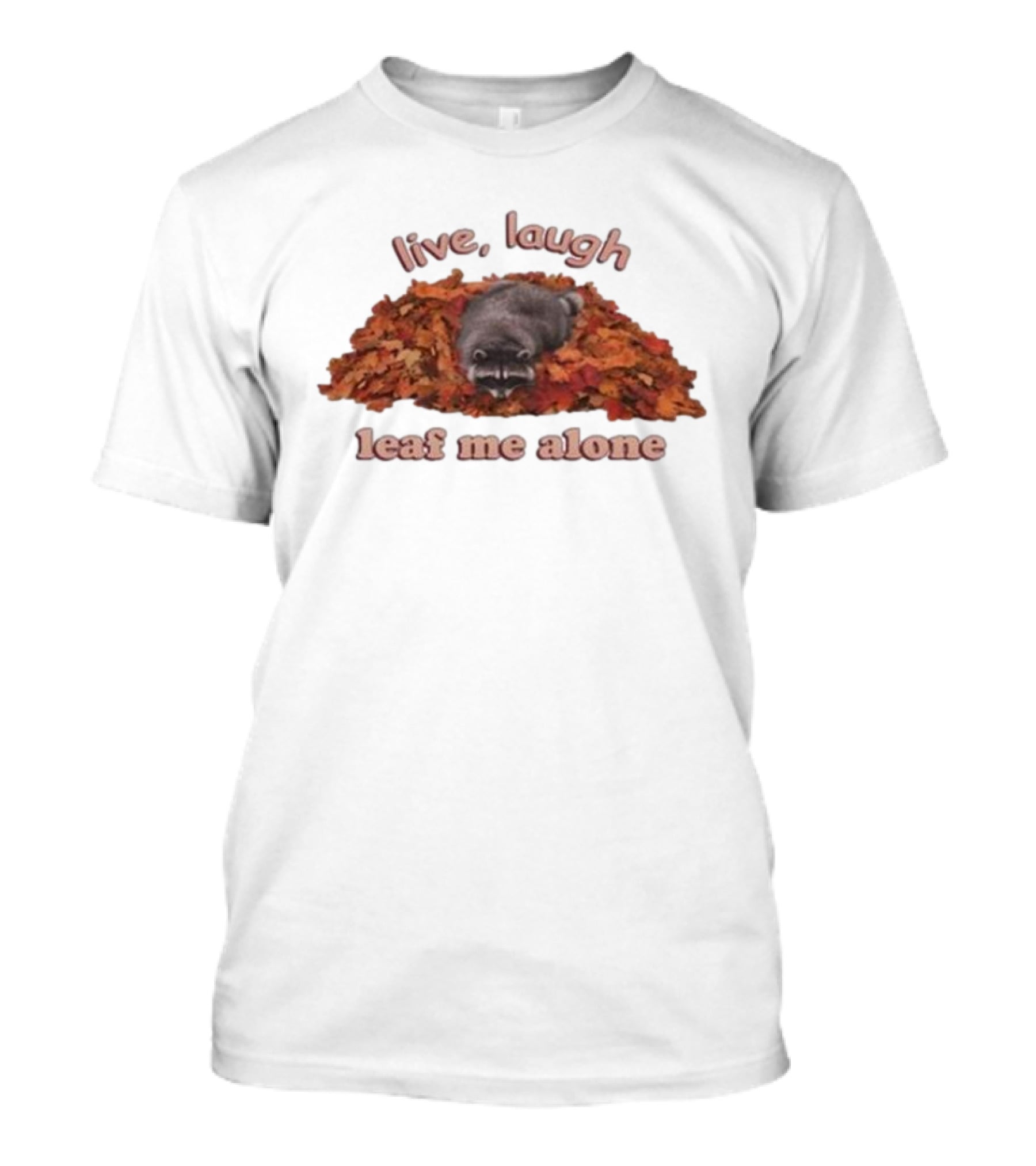 Live Laugh Leaf Me Alone Raccoon Autumn Leaves T-Shirt
