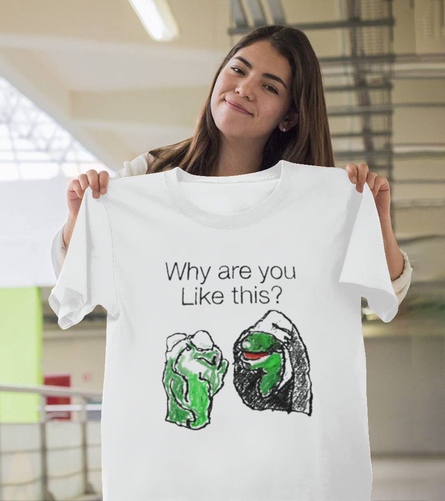 Why Are You Like This Meme Frog Hoodie Inner Self Conflict T-Shirt