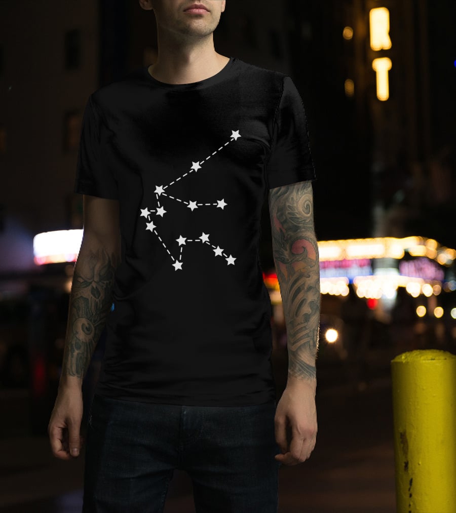 Aquarius Constellation Stars White 495 T-Shirt