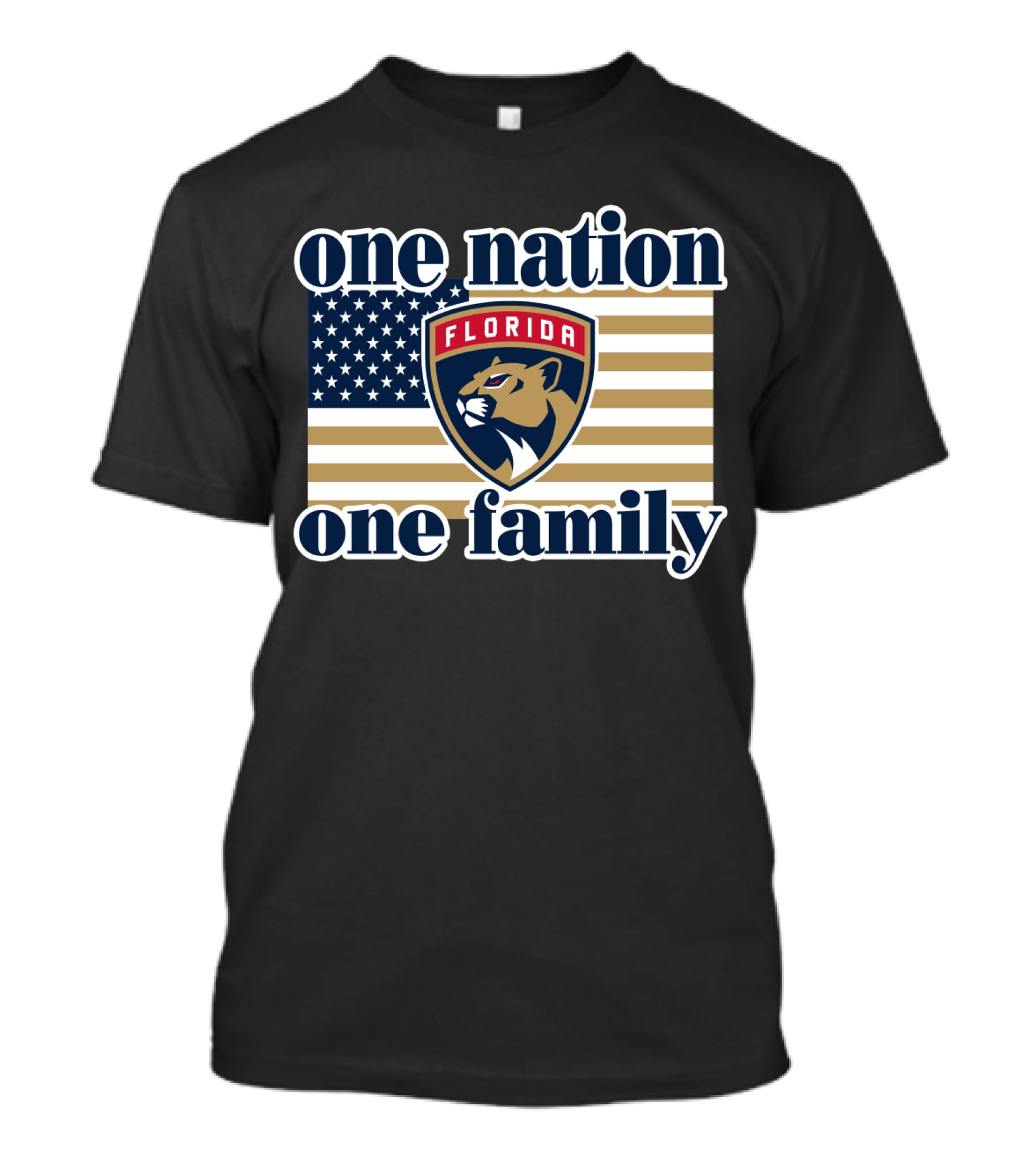One Nation One Family Florida Panthers Flag T-Shirt