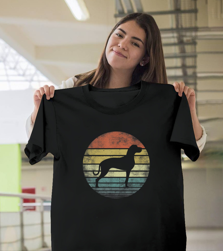 Great Dane Lover Owner Retro Sunset Dog T-Shirt