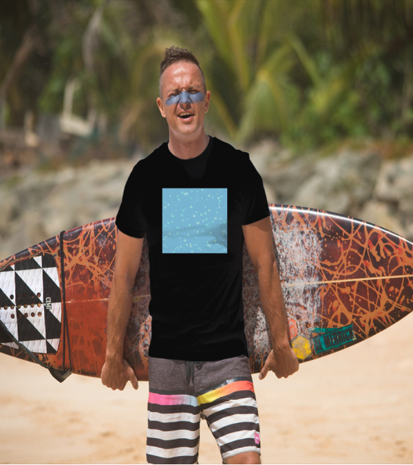 Stars Pattern On Light Blue Background T-Shirt
