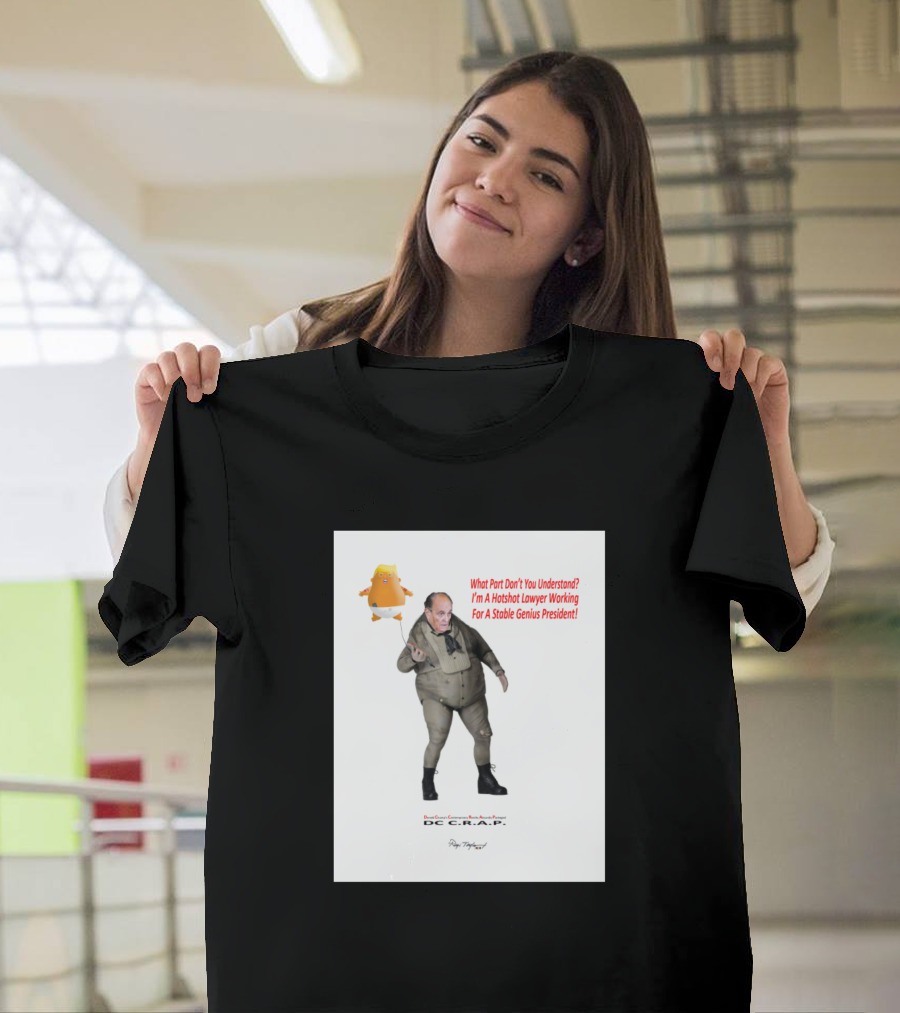 What Part Don't You Understand I'm A Hotshot Lawyer Working For A Stable Genius President T-Shirt