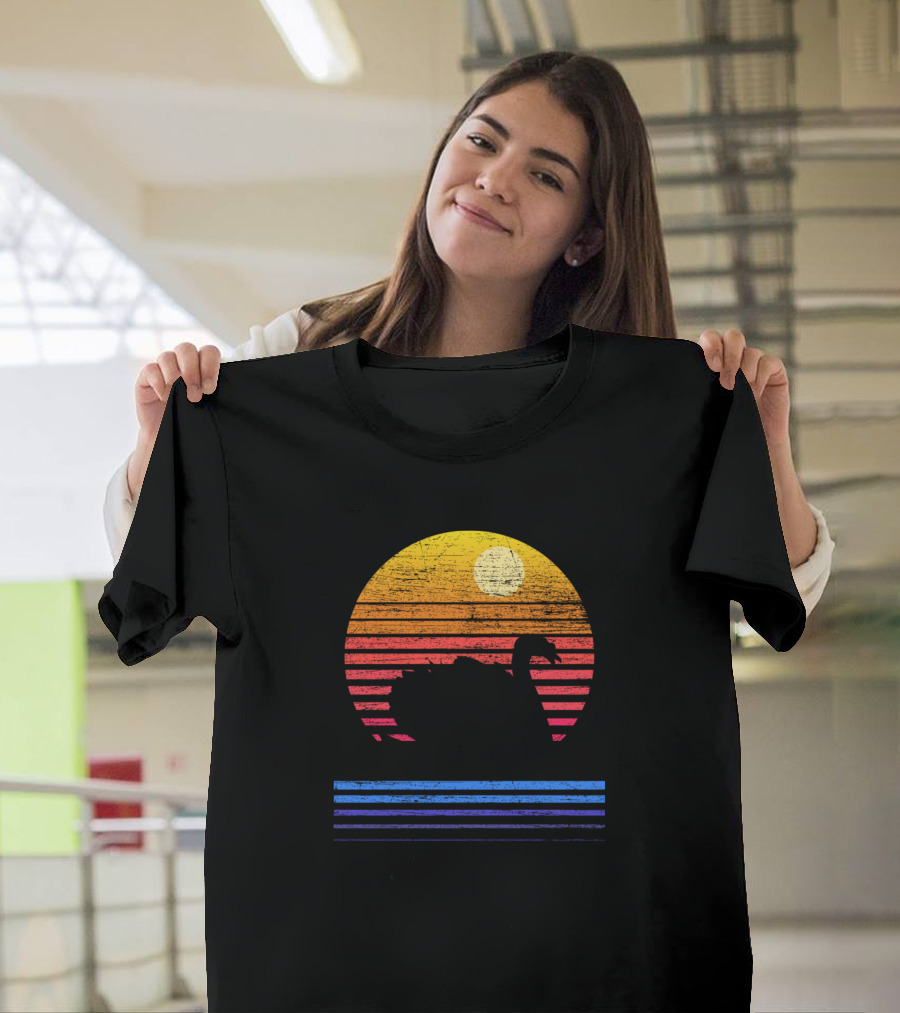 Sunset Vintage Swan Retro Stripes T-Shirt