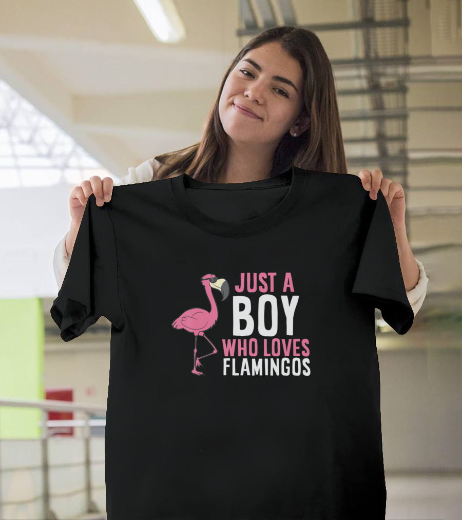 Just a Boy Who Loves Flamingos T-Shirt