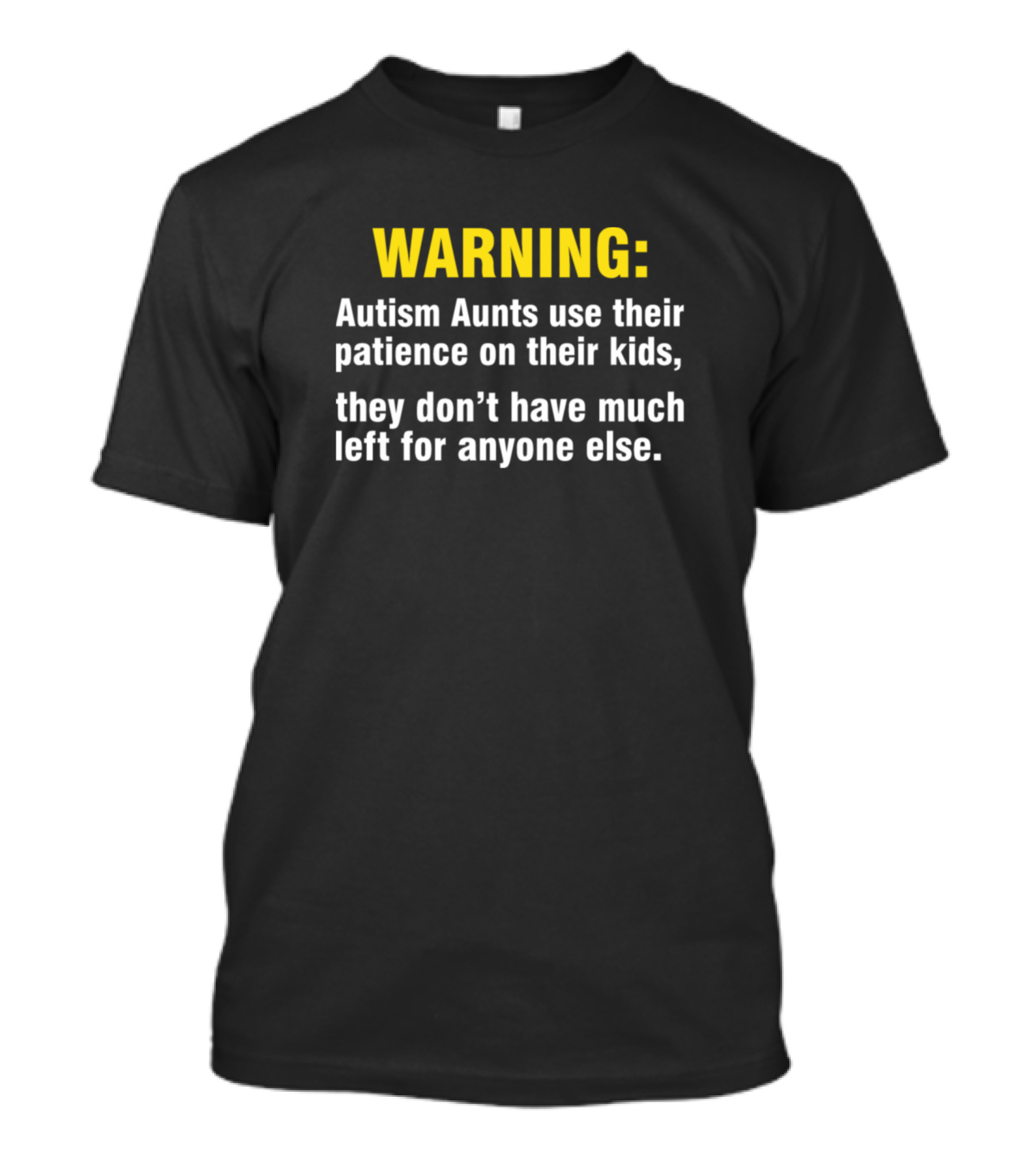 WARNING Autism Aunts Use Their Patience On Their Kids They Don’t Have Much Left For Anyone Else T-Shirt