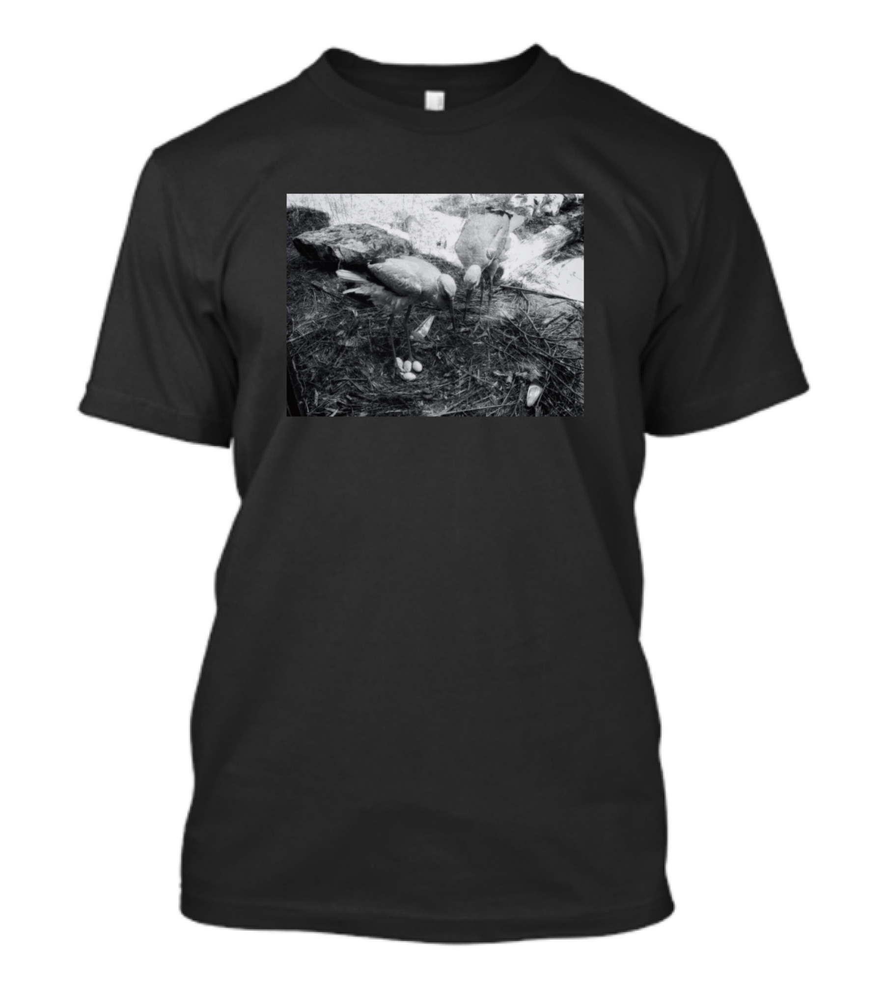 Expecting Nest Storks With Eggs In Natural Habitat T-Shirt