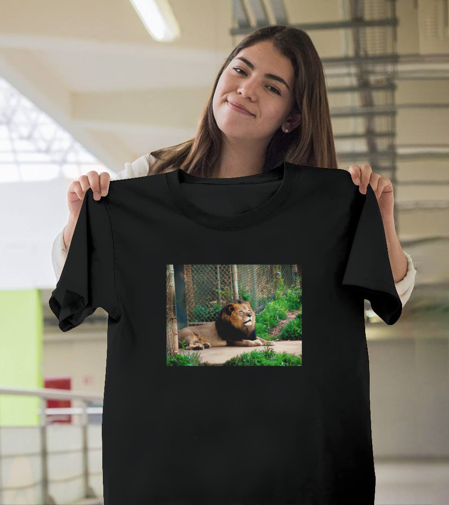 The King Of The Jungle Lion Resting In Enclosure T-Shirt