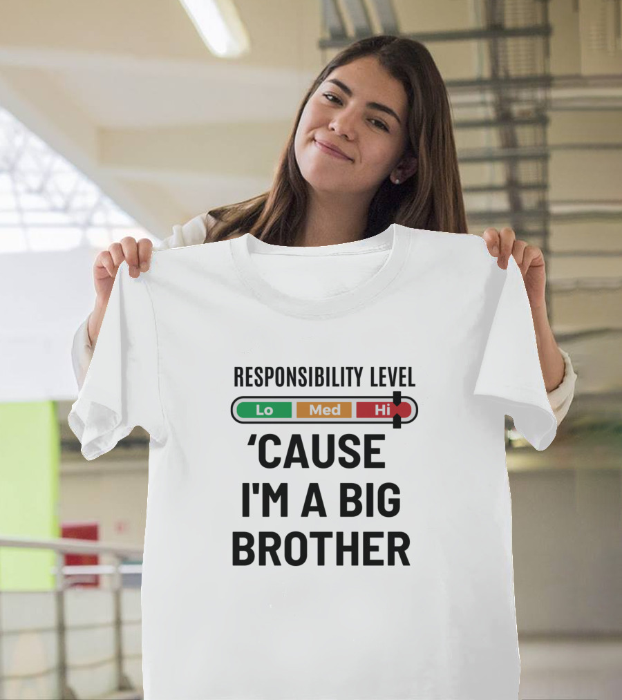 Responsibility Level Lo Med Hi 'Cause I'm A Big Brother T-Shirt