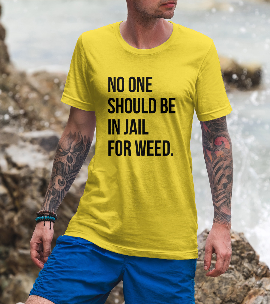 No One Should Be In Jail For Weed Gisele Barreto Fetterman We Go High Shop T-Shirt