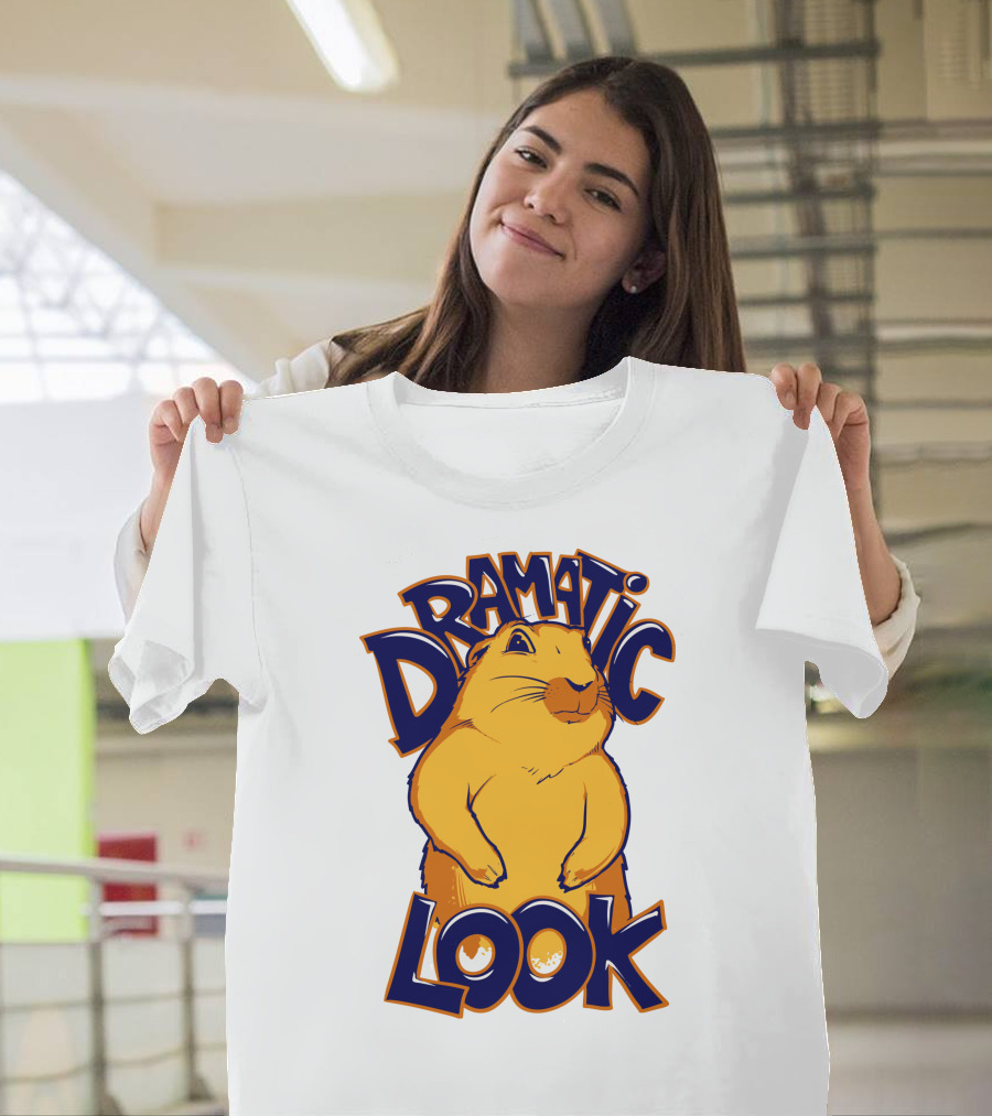 Dramatic Look Chipmunk Meme T-Shirt