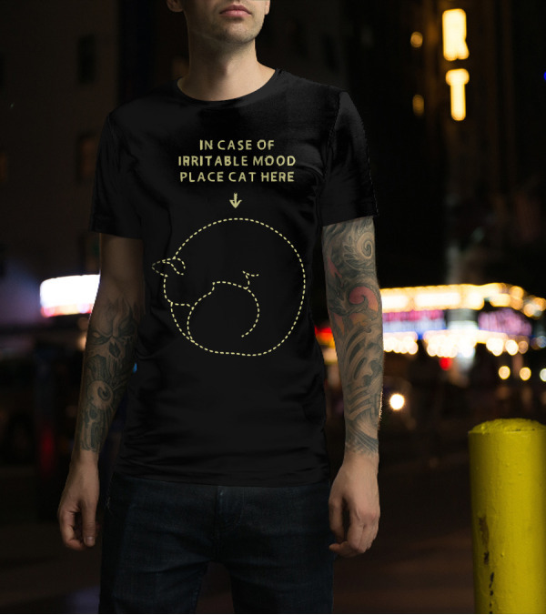 In Case Of Irritable Mood Place Cat Here T-Shirt
