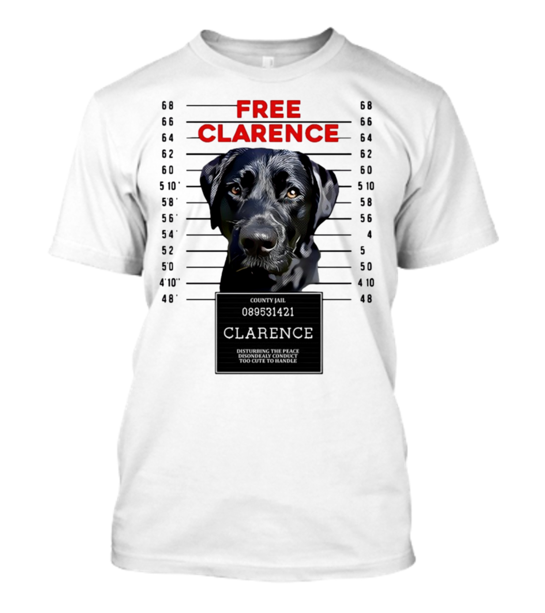 Free Clarence County Jail Disturbing The Peace Disorderly Conduct Too Cute To Handle T-Shirt