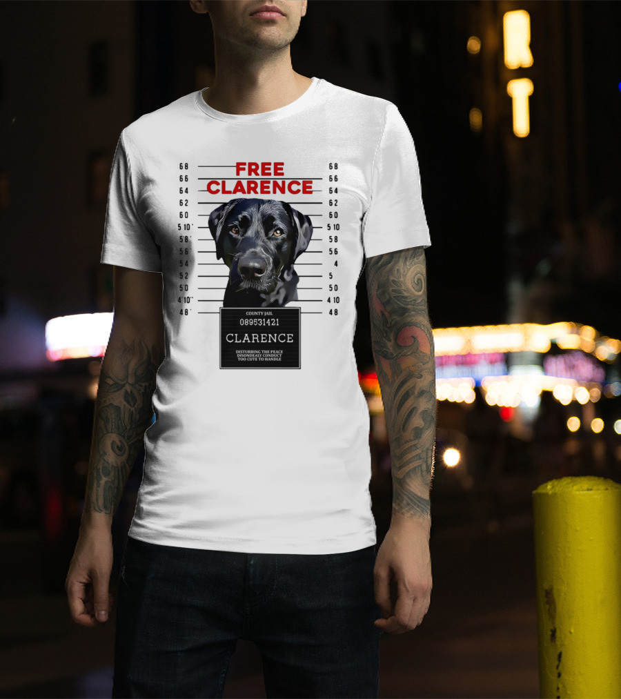 Free Clarence County Jail Disturbing The Peace Disorderly Conduct Too Cute To Handle T-Shirt