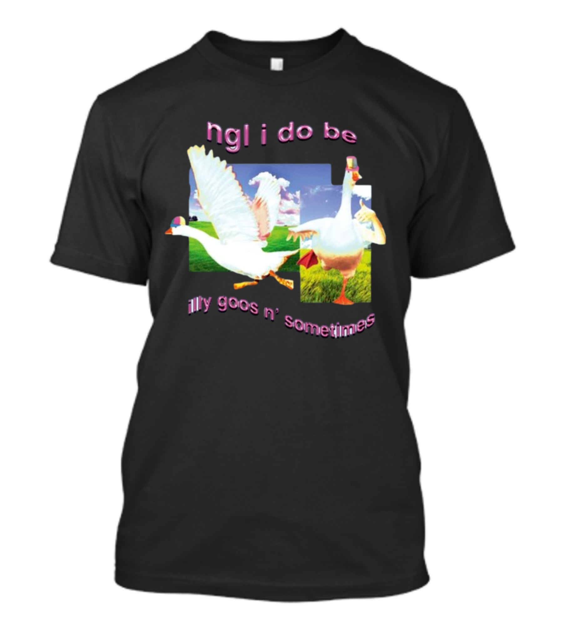 Ngl I Do Be Silly Goosin' Sometimes Goose Humor Fun Playful T-Shirt