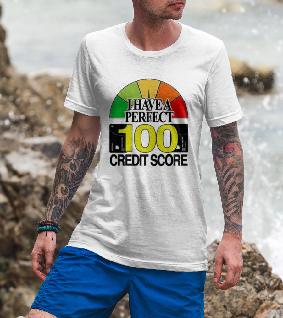 I Have A Perfect 100 Credit Score Gauge Graph T-Shirt