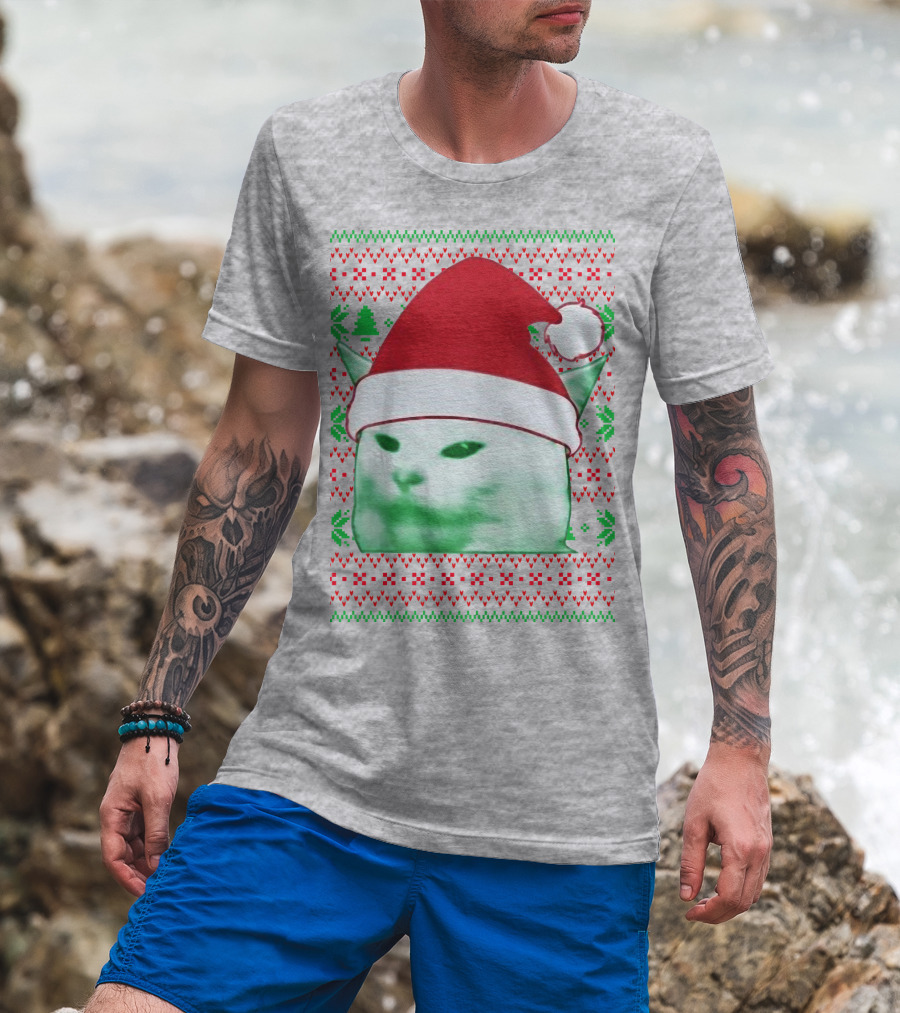 Santa Hat Cat Meme Christmas Pattern Raglan T-Shirt