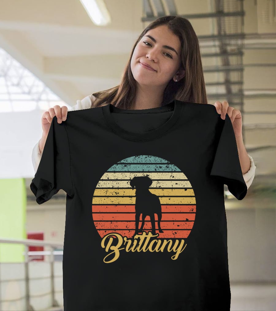Brittany Spaniel Silhouette Retro Sunset Stripes T-Shirt