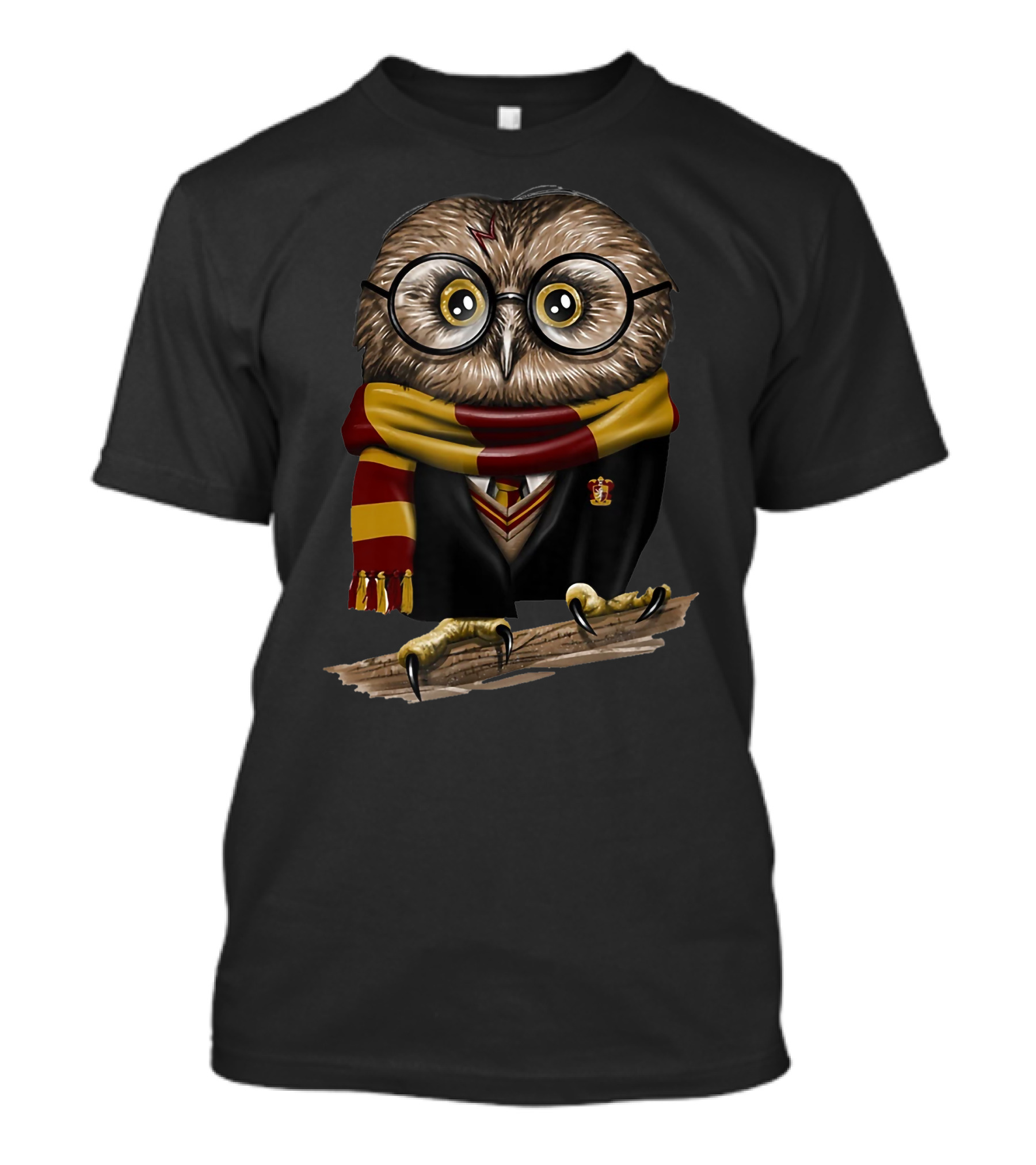 Exclusive Owl Wizard Inspired By Only Today Magic School House Colors T-Shirt