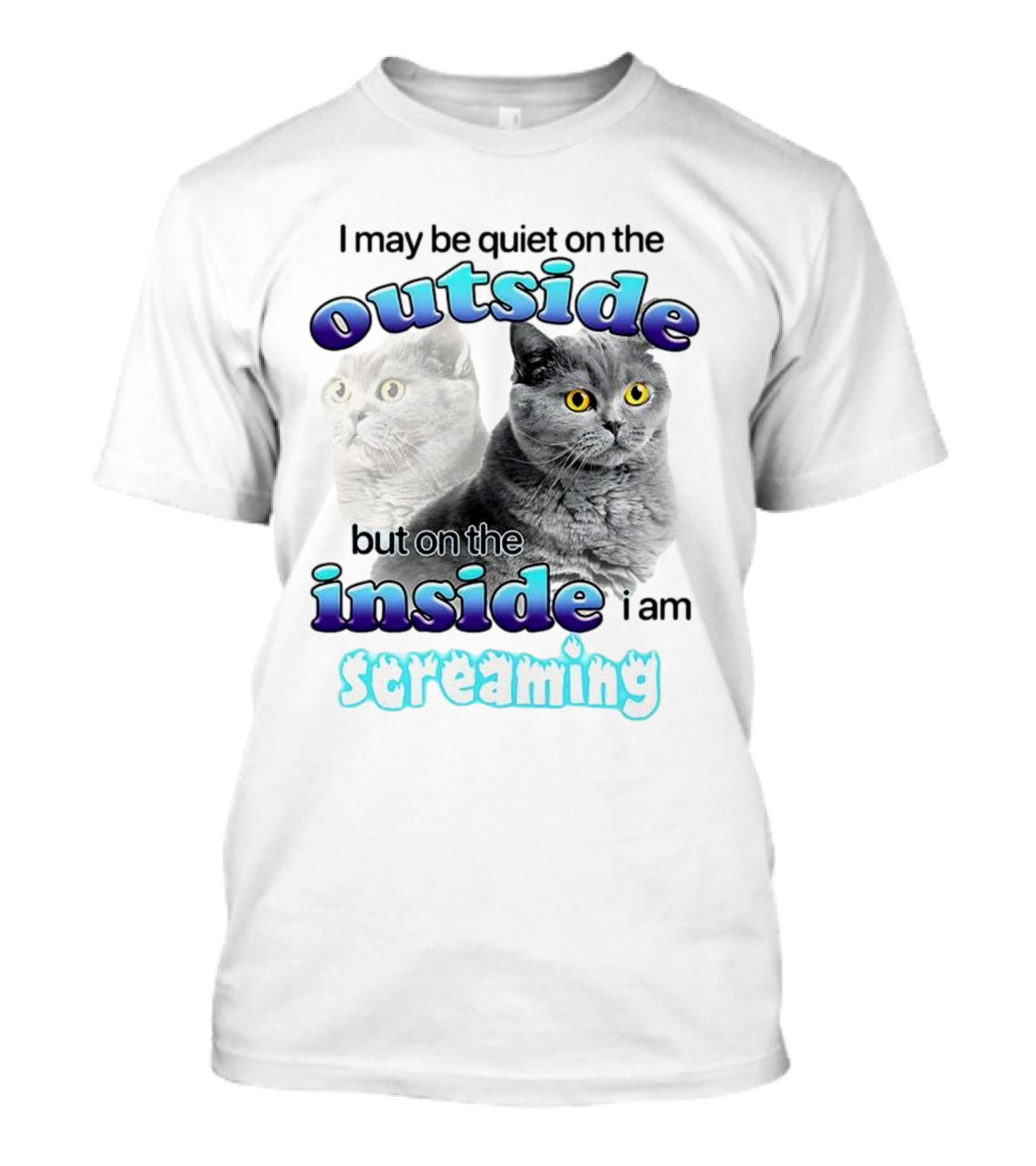 Cat I May Be Quiet On The Outside But On The Inside I Am Screaming T-Shirt