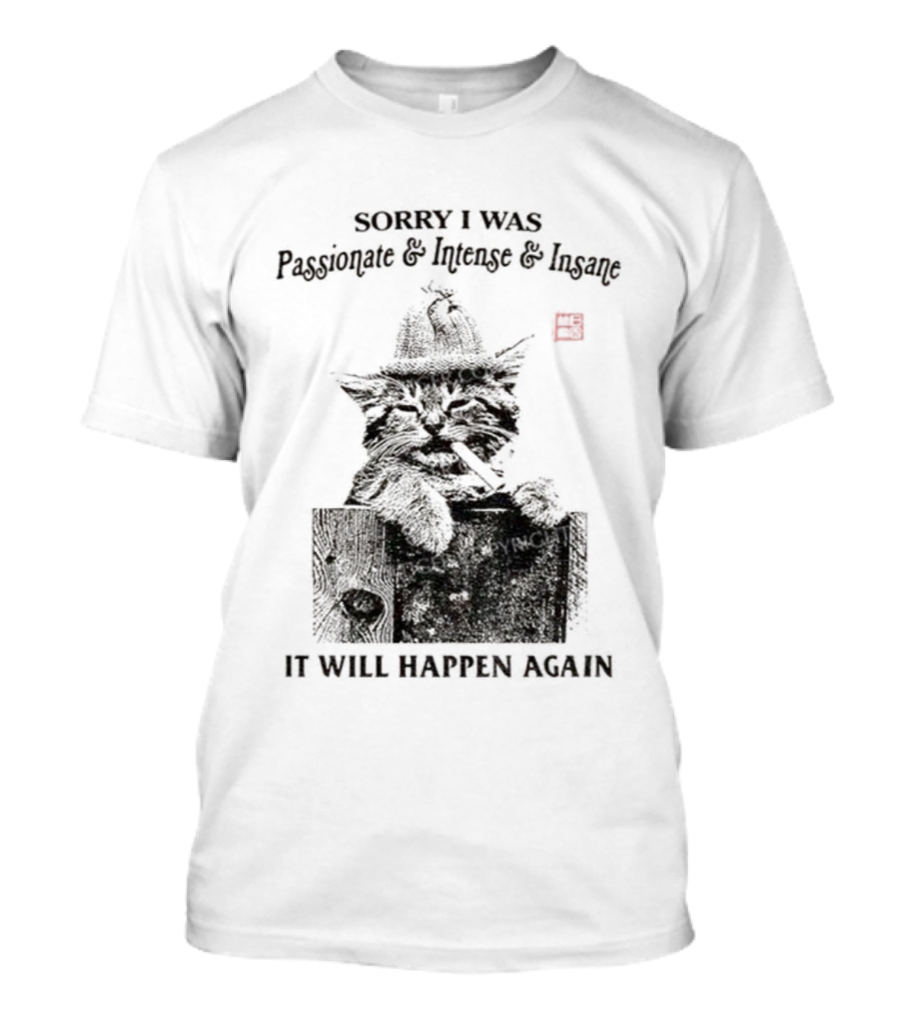 Sorry I Was Passionate Intense Insane Cat It Will Happen Again T-Shirt