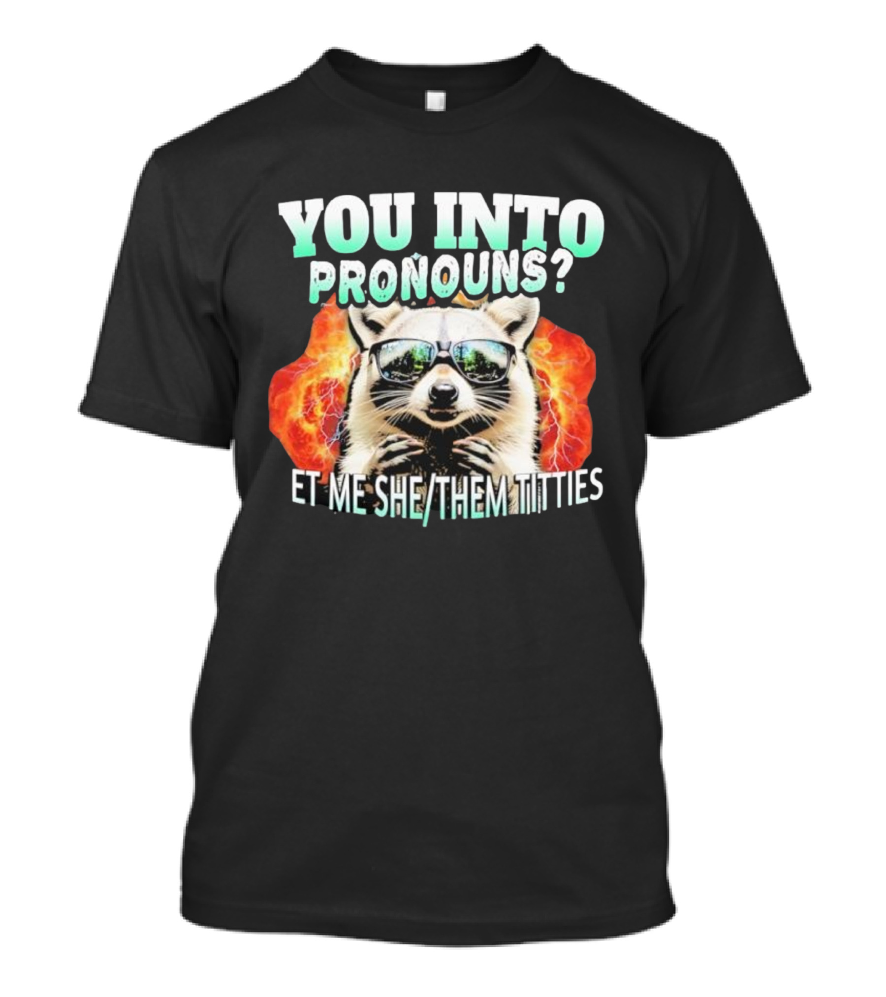 You Into Pronouns Et ME She Them Titties Raccoon T-Shirt
