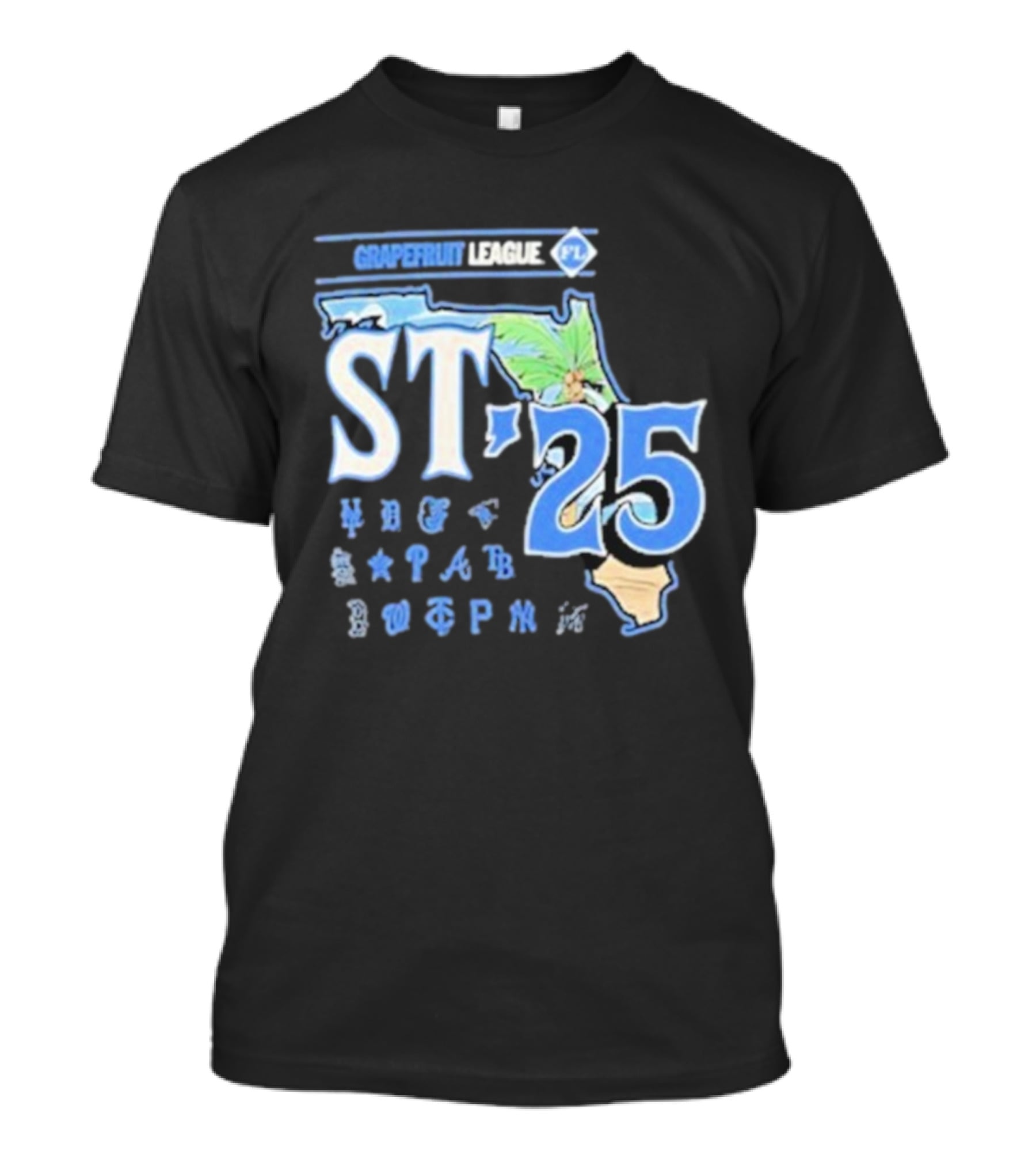 Grapefruit League Florida ST '25 MLB Baseball Spring Training T-Shirt