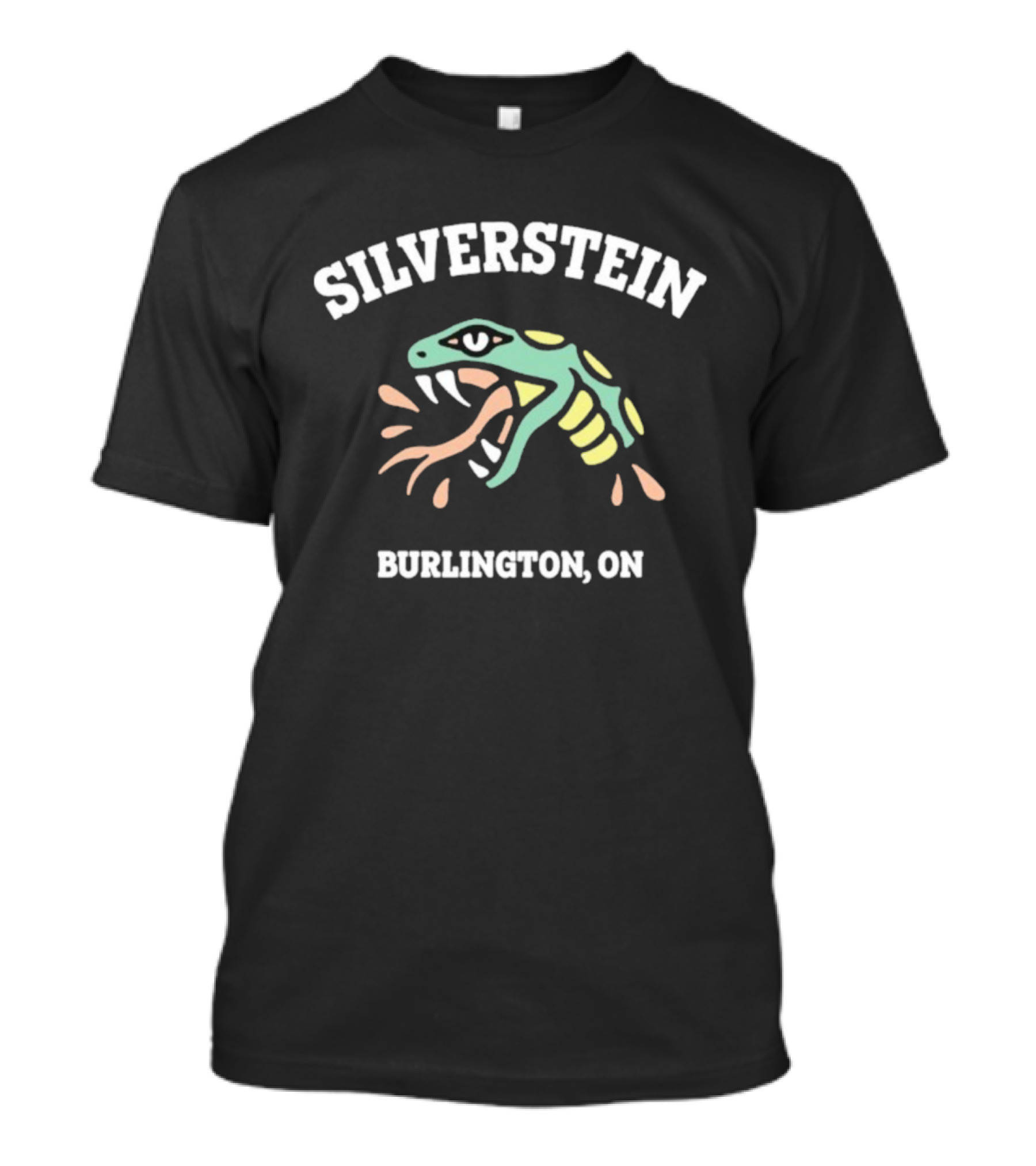 Silverstein Burlington ON Snake Head Est 2000 T-Shirt